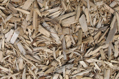 biomass boilers Quidhampton